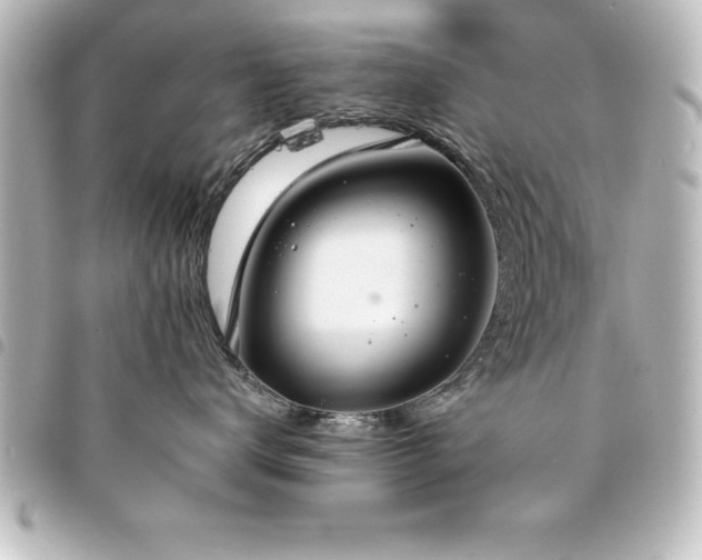 X0000094360672200711021511