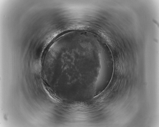 X0000094360674200711021510
