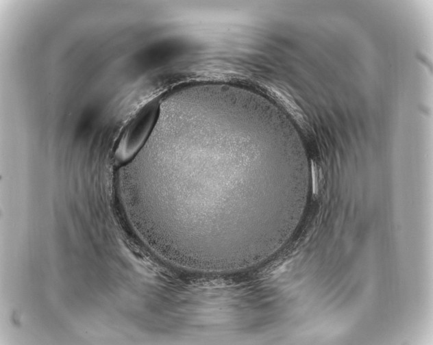X0000094360675200711021510