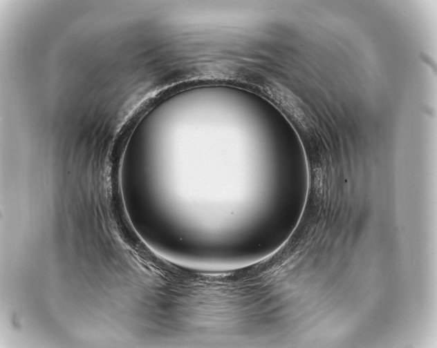X0000094360676200711021510