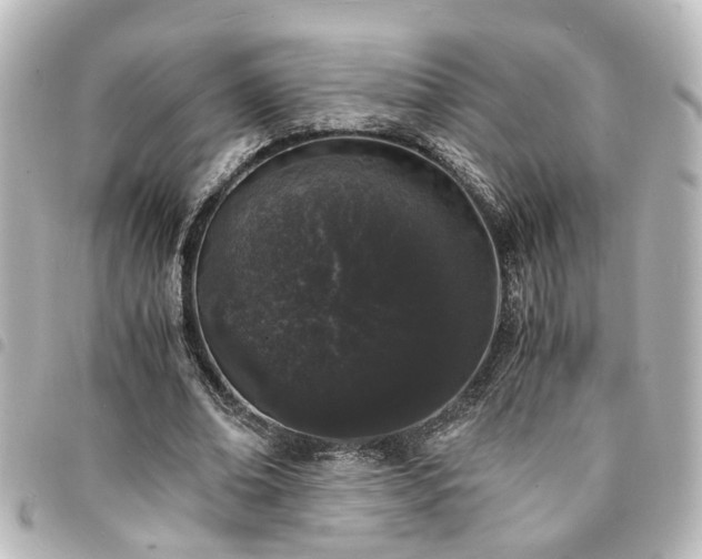X0000094360678200711021510