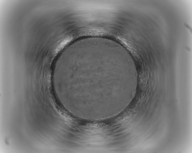 X0000094360679200711021510