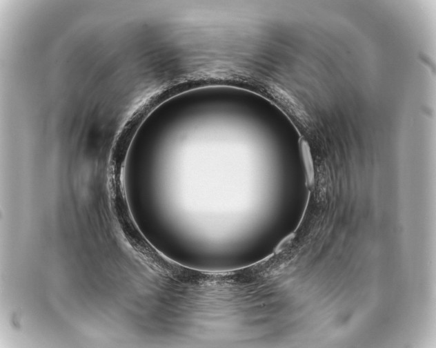 X0000094360680200711021510