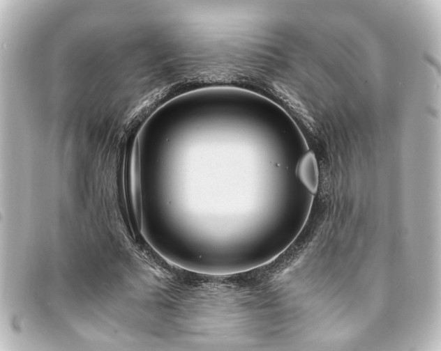 X0000094360681200711021510