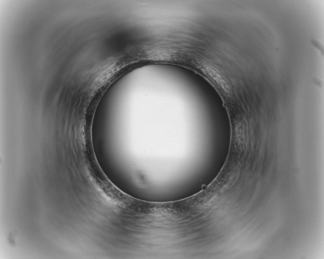 X0000094360682200711021510