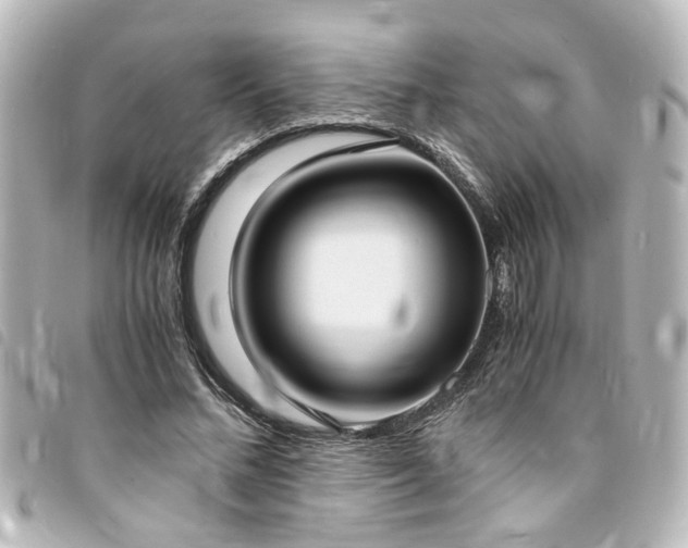 X0000094360684200711021510