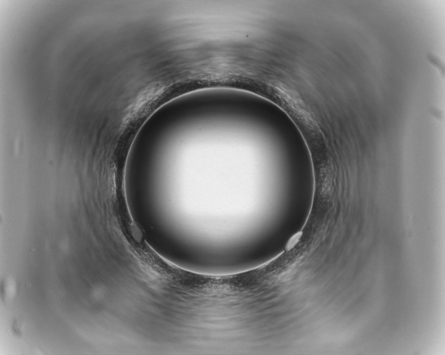 X0000094360685200711021510