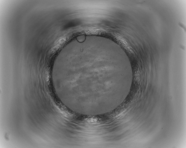 X0000094360687200711021510