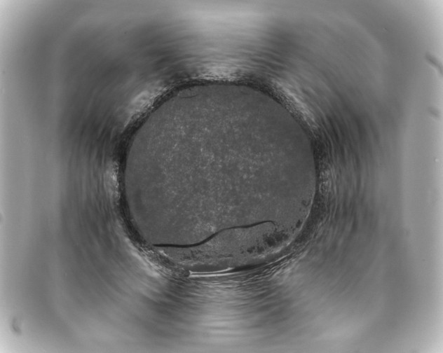 X0000094360688200711021510