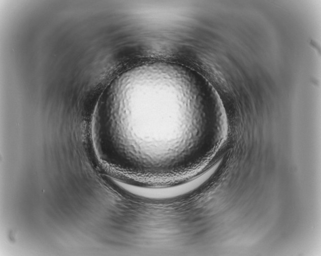 X0000094360689200711021510