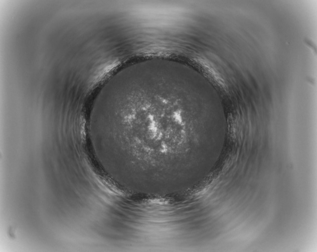 X0000094360692200711021510
