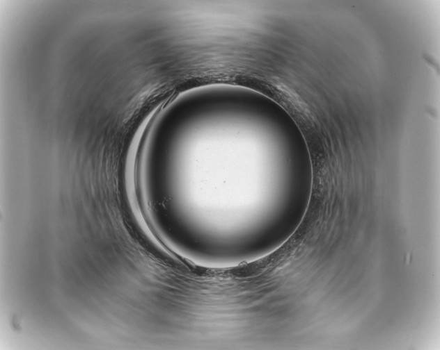 X0000094360693200711021510