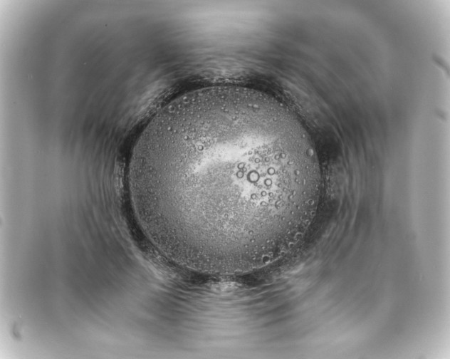 X0000094360695200711021510