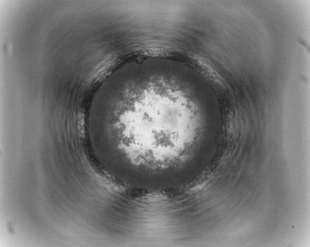 X0000094360696200711021510