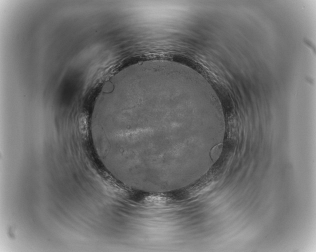 X0000094360699200711021510