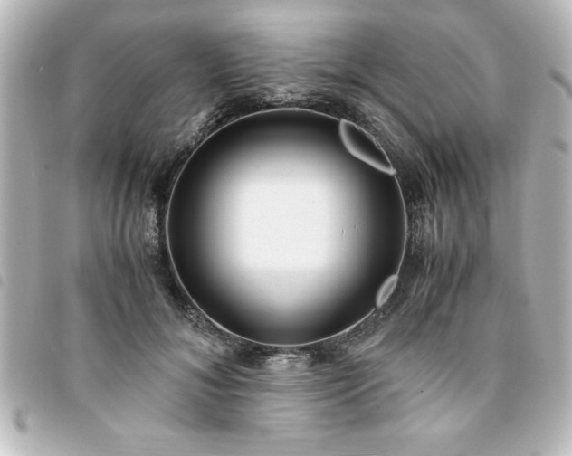 X0000094360700200711021510