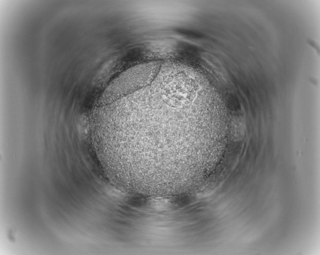 X0000094360701200711021510