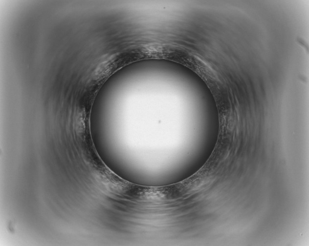 X0000094360702200711021510