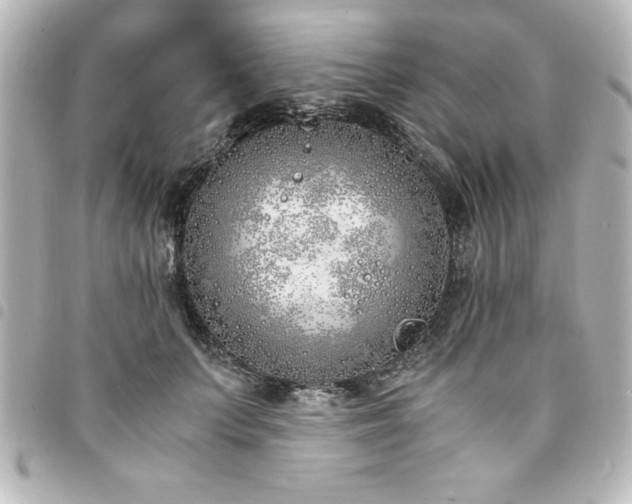 X0000094360703200711021510
