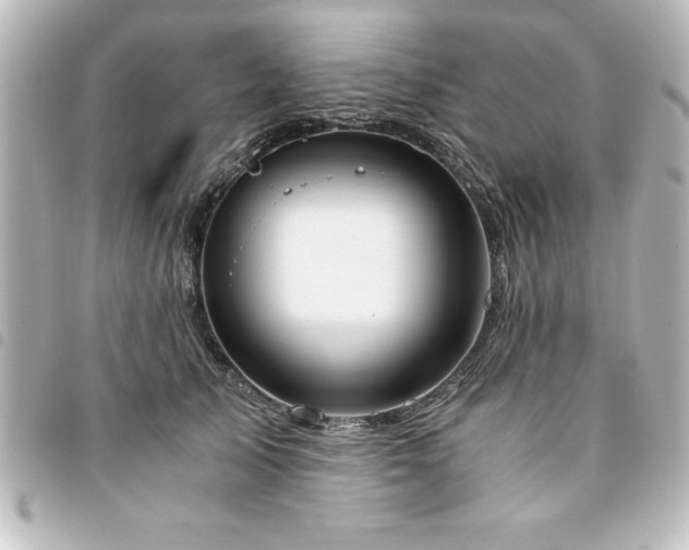 X0000094360705200711021510