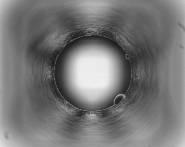 X0000094360706200711021510