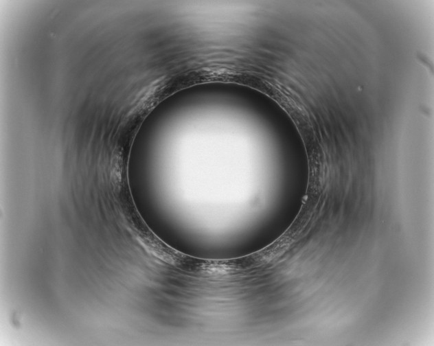 X0000094360710200711021510