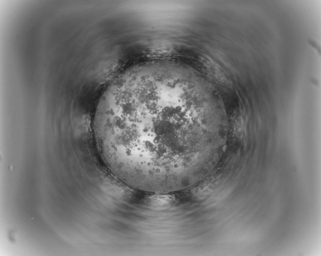 X0000094360711200711021509