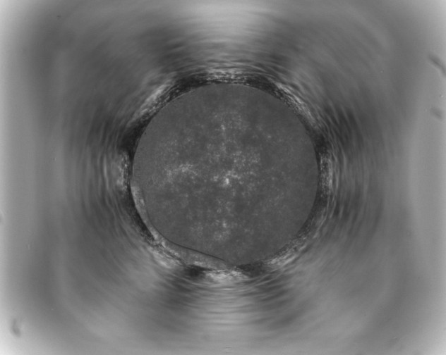 X0000094360712200711021509