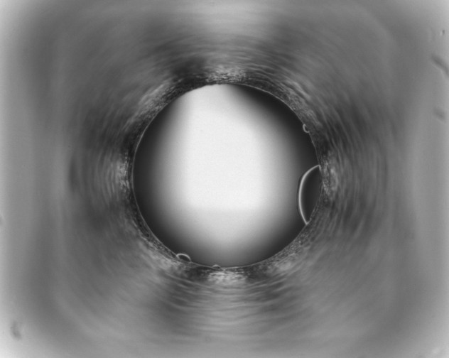 X0000094360714200711021509