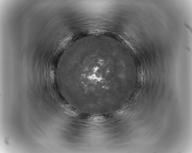X0000094360716200711021509