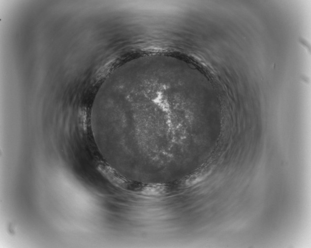 X0000094360720200711021509