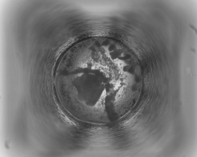 X0000094360721200711021509