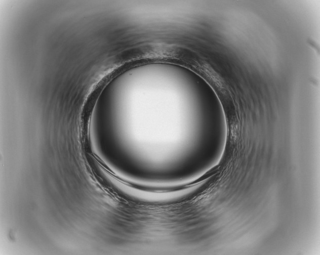 X0000094360724200711021509