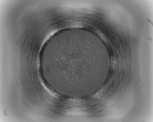 X0000094360726200711021509