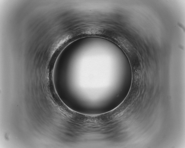 X0000094360727200711021509