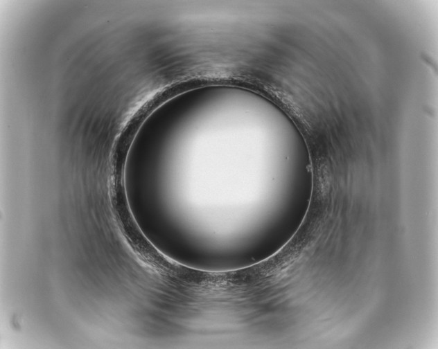 X0000094360728200711021509