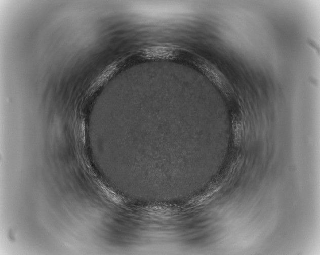 X0000094360729200711021509