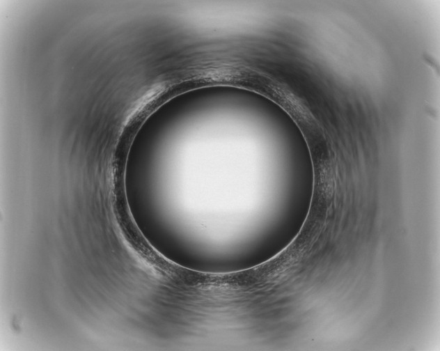 X0000094360730200711021509