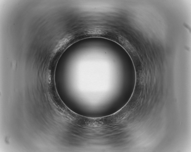 X0000094360731200711021509