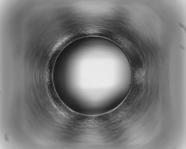 X0000094360732200711021509