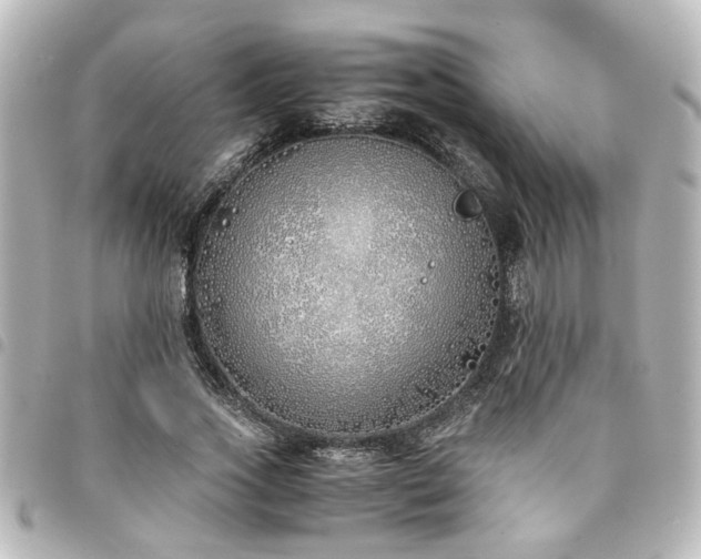 X0000094360733200711021509