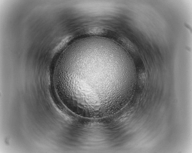 X0000094360734200711021509