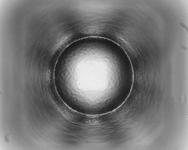 X0000094360735200711021509