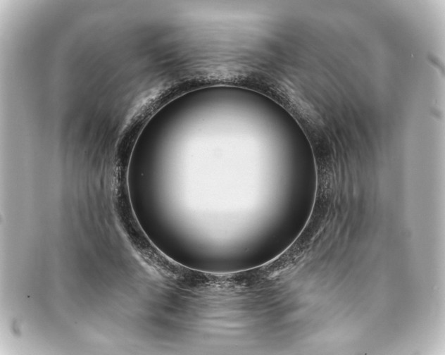 X0000094360736200711021509