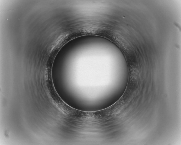 X0000094360738200711021509