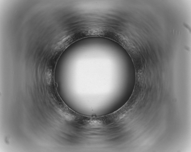 X0000094360741200711021509