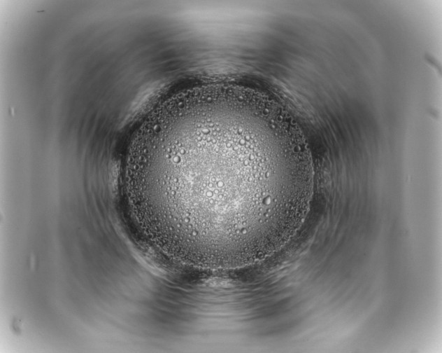 X0000094360742200711021509