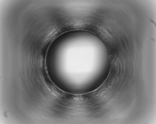 X0000094360744200711021509