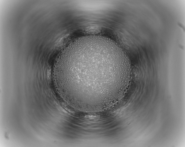 X0000094360745200711021509