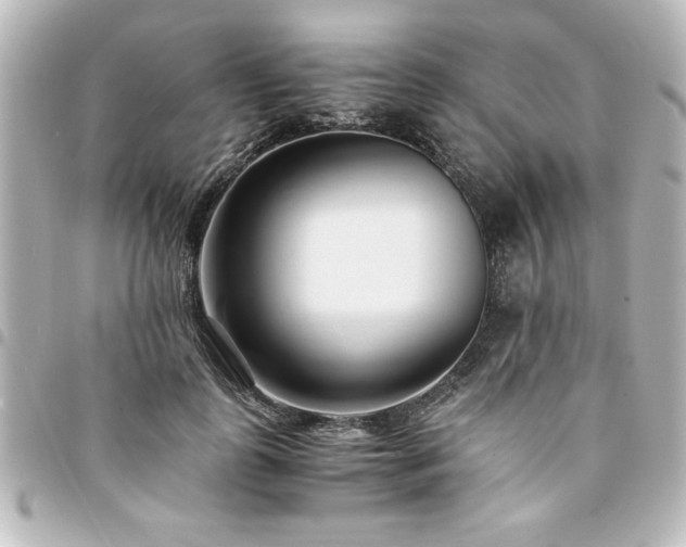 X0000094360747200711021509